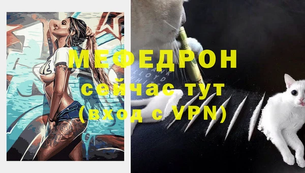 мдпв Дмитровск