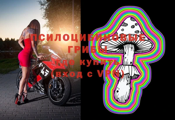 мдпв Дмитровск