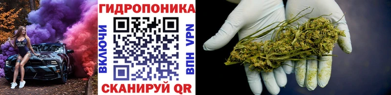 Конопля гибрид Няндома
